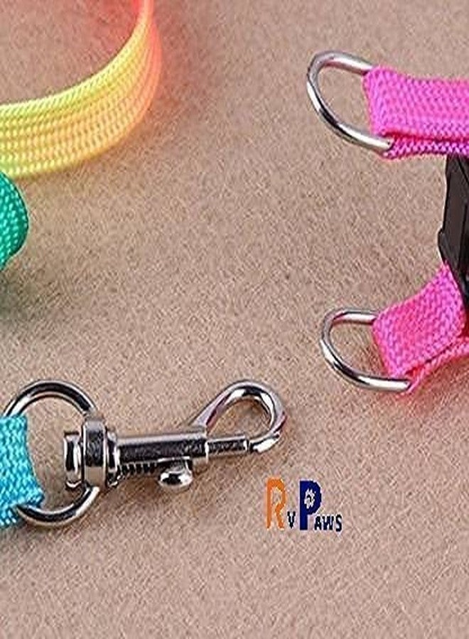 Pups&Pets طقم سرج ملون من النايلون المتين من Pups&Pets للقطط، مقاس 10 مم | سرج قابل للتعديل بألوان قوس قزح مع مقود | سرج ومقود ناعم للمشي للقطط والقطط الصغيرة - قطعة واحدة - Image 4